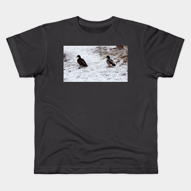 Ducks On The Winter Snow Kids T-Shirt by BackyardBirder